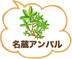 名蔵アンパル