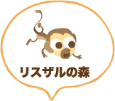 リスザルの森